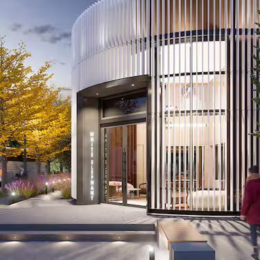 Aspen winter 2025-2026